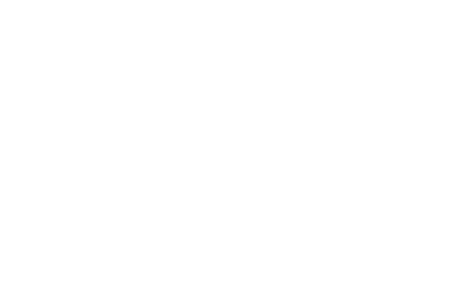 Official Selection — Toronto Global Film Festival, 2025